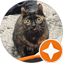 林宏翰 profile picture