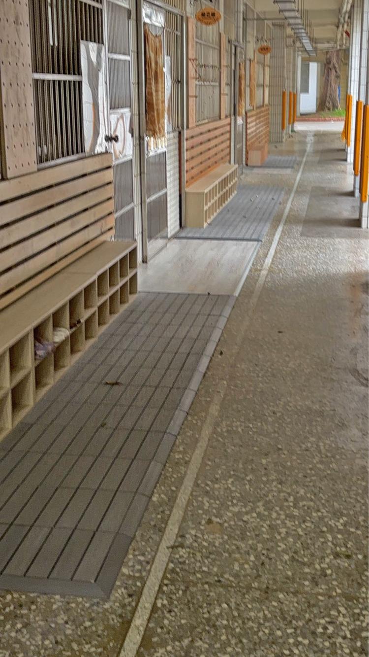 地板 牆板 戶外家具 座椅 快組 校園 玄關